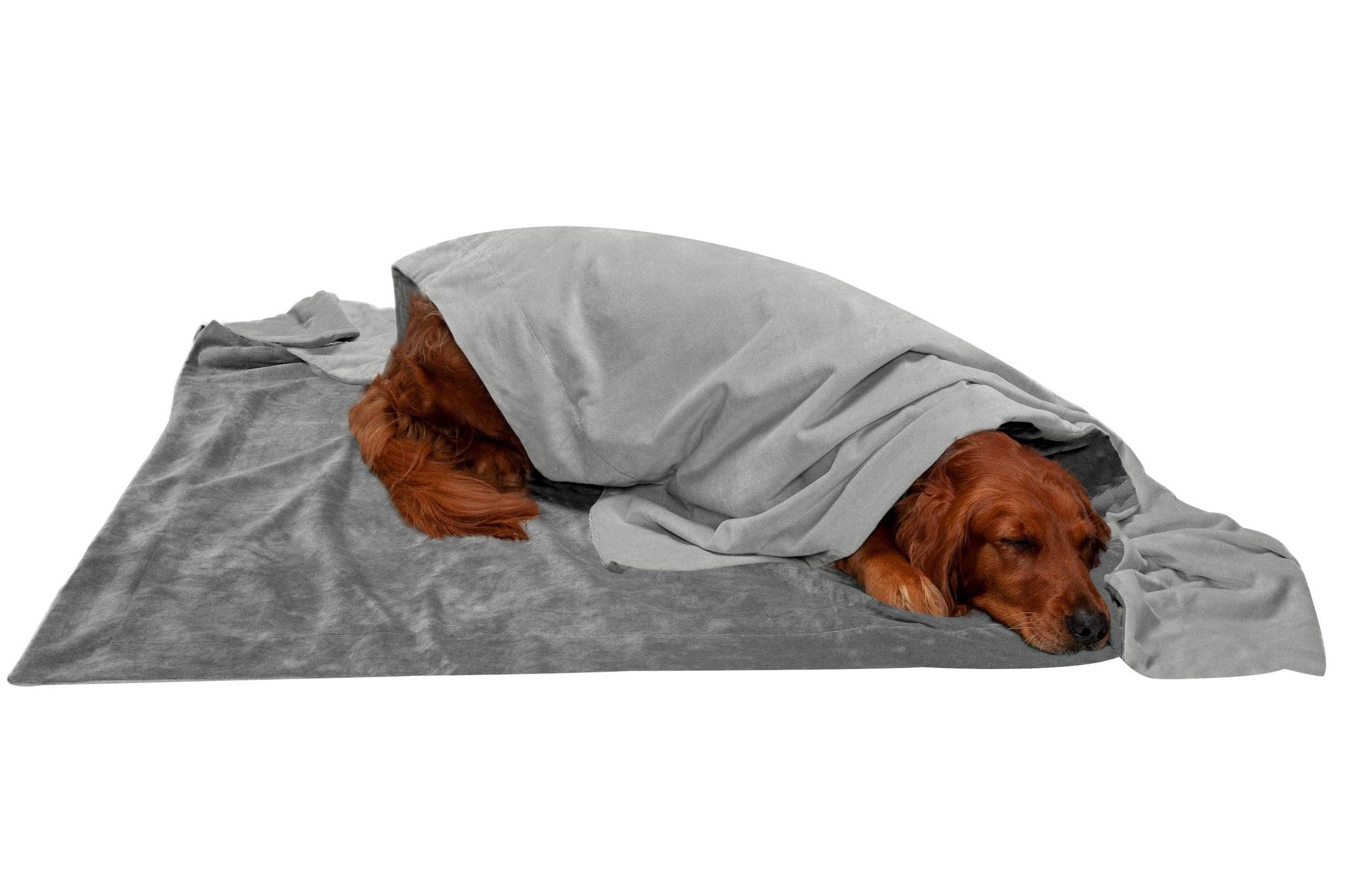 Waterproof Velvet Pet Throw Blanket